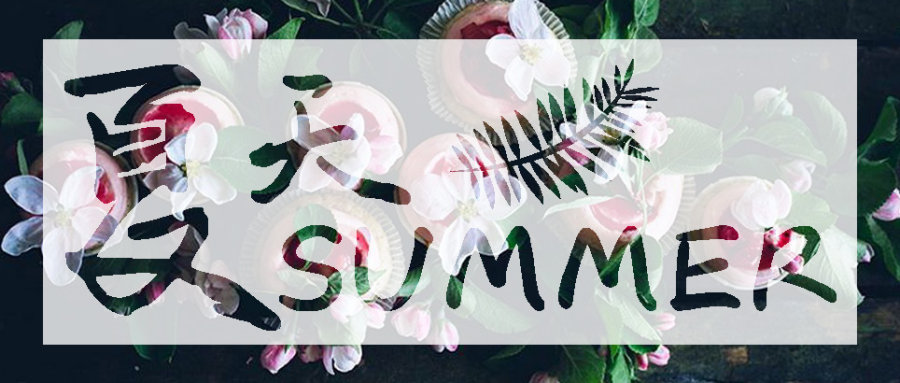 content-25422164929202912.jpg 破苍穹964x410.jpg