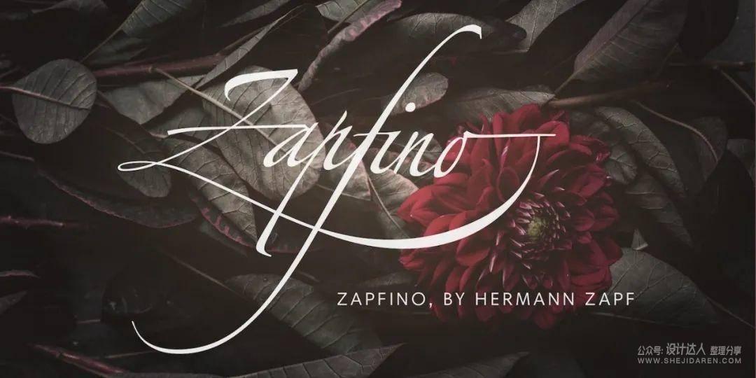 重要基础知识：拉丁字母字体样式指南