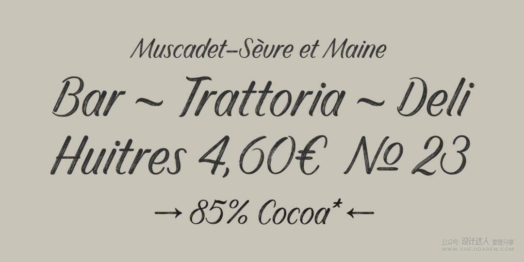 重要基础知识：拉丁字母字体样式指南