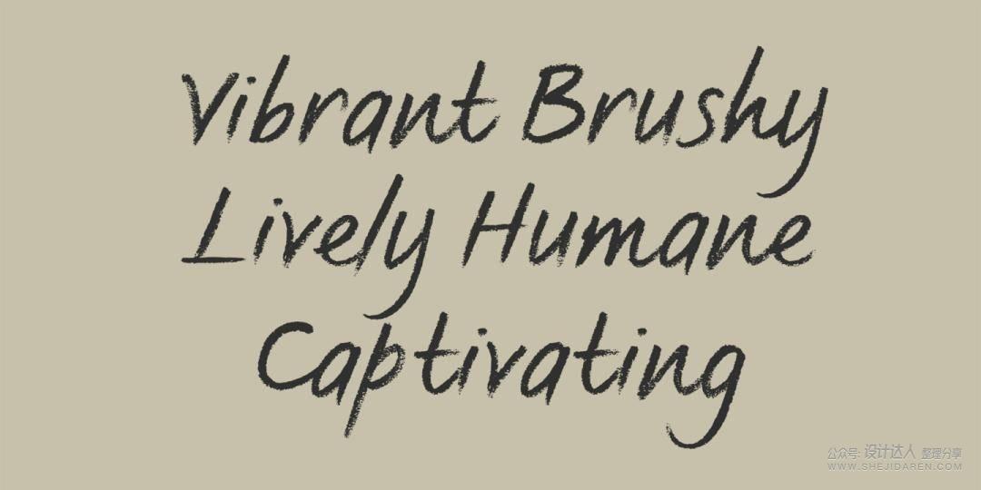 重要基础知识：拉丁字母字体样式指南