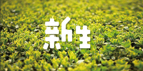 35个风格迥异的中文字体设计作品欣赏