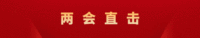 代表委员热议规范使用汉字：尊重汉字之美 守护文化之根