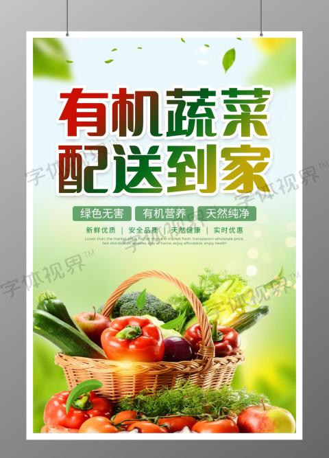有机蔬菜配送促销海报