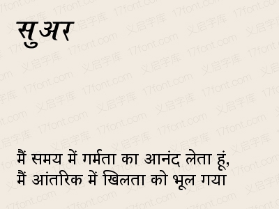 सुअर