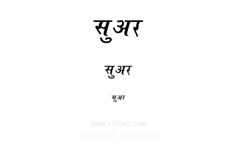 सुअर