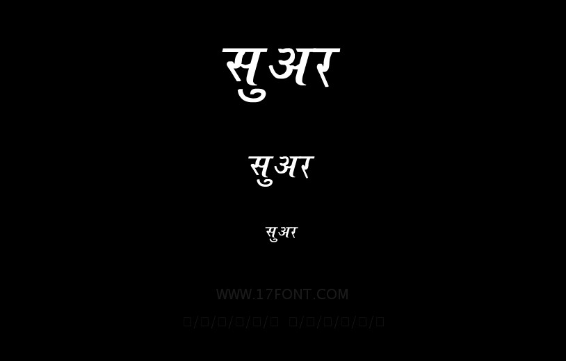सुअर