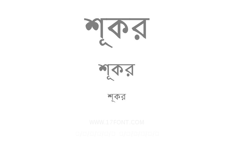 শূকর