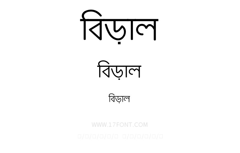 বিড়াল