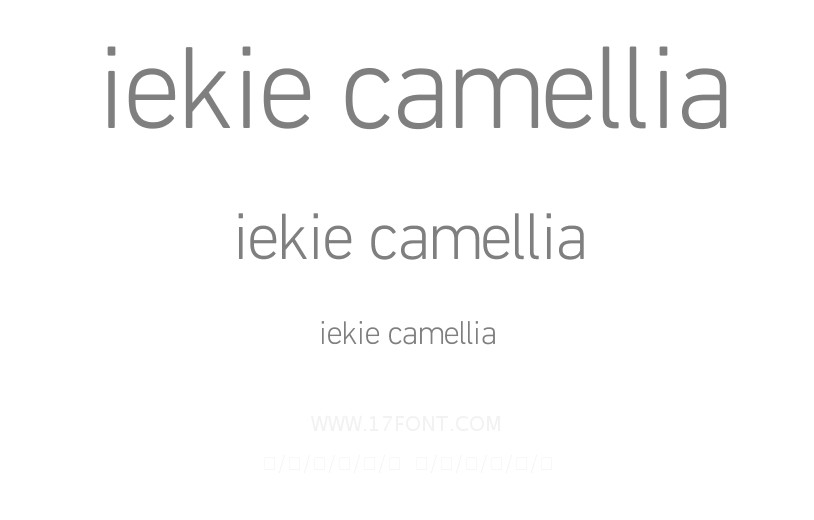 iekie Camellia