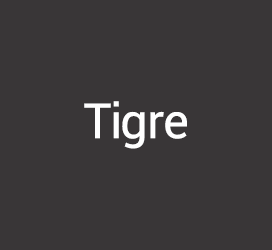 undefined-Tigre Regular-字体设计