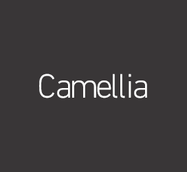 undefined-iekie Camellia-字体设计