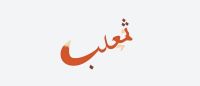 阿拉伯创意字体设计——字型与意象的绝妙结合